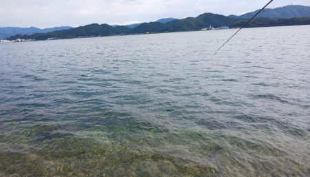 毎度です。ボイル打ちは運次第（汗）